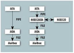 Version 2 Limited 推出新版ESET NOD32 for Linux Server，巩固科技产品代理领先地位