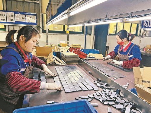 以高质量技术服务为引擎，驱动企业创新与开发能力跃升